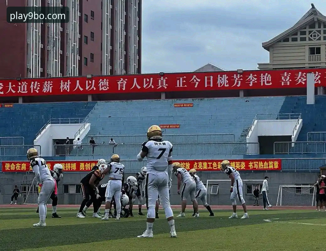 博和皇冠哪个好 2024年最新动态:博和皇冠哪个好?9博体育平台深度对比分析